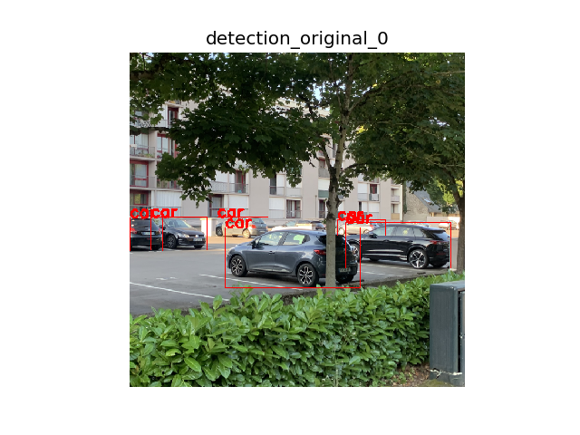original image with predictions on it