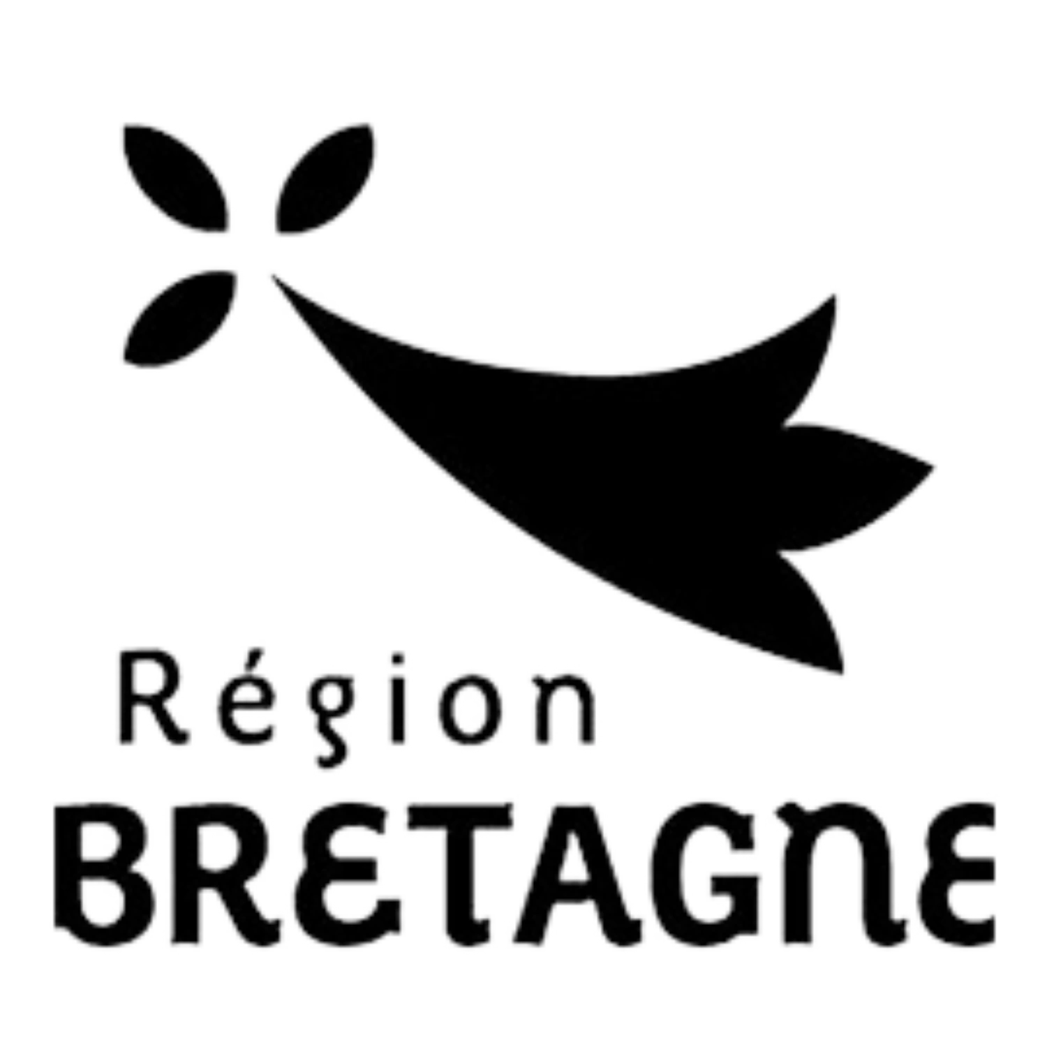 /assets/images/partners/RegionBretagne.webp